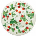 ROY KIRKHAM FINE BONE CHINA | ALPINE STRAWBERRY SET OF SIX DINNER PLATES